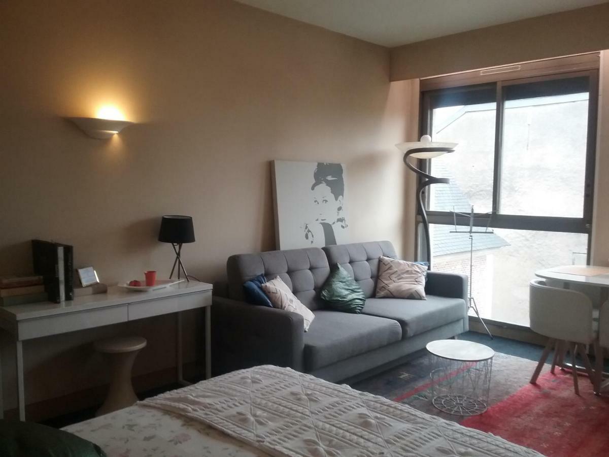 Le Flat Victoria -Canal & Cathedrale -40M2 Nancy Buitenkant foto